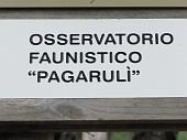30 E poi saliamo qui